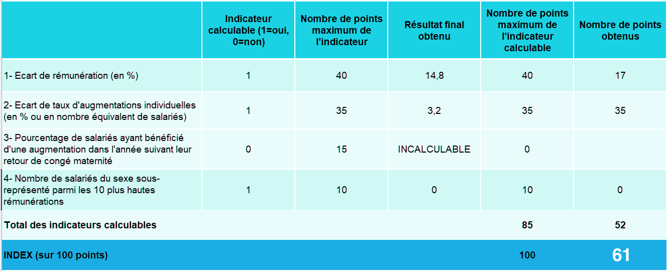indices d'égalité ADSI 2024